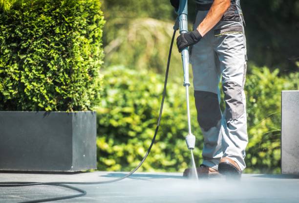 Best Gutter Cleaning  in Doniphan, MO