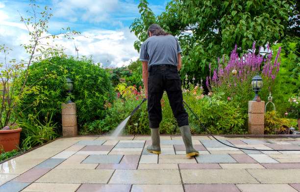  Doniphan, MO Pressure Washing Pros