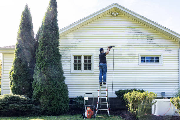 Best Fence Cleaning  in Doniphan, MO